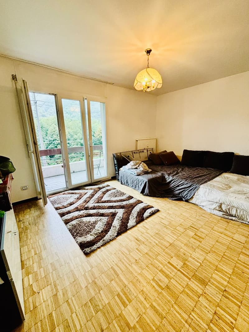 open room with wooden floor, sliding glass door to balcony, ceiling light, two convertible beds with pillows, rug, radiator, outlet