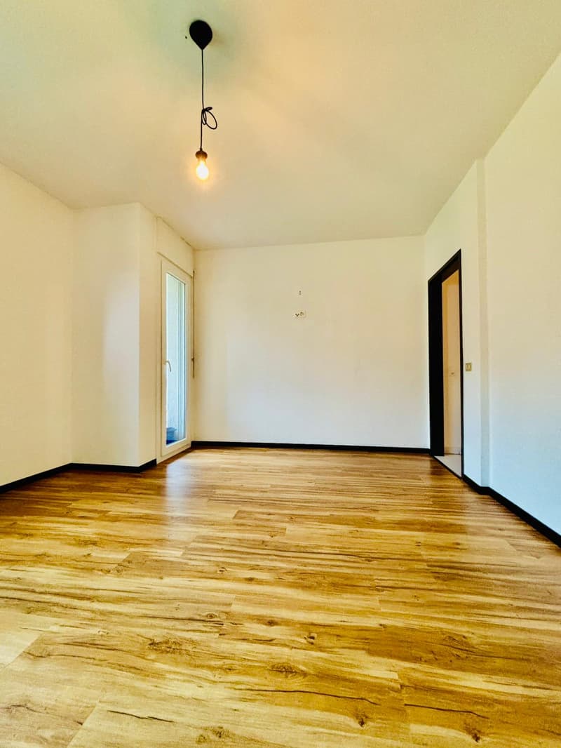 Appartement confortable 3.5 pièces avec vue sur les montagnes à Bodio (5)
