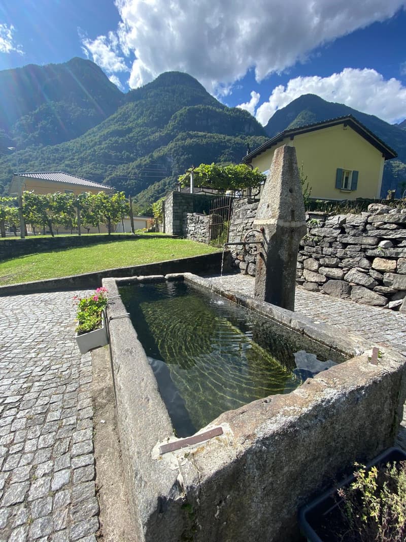 Appartement confortable 3.5 pièces avec vue sur les montagnes à Bodio (11)