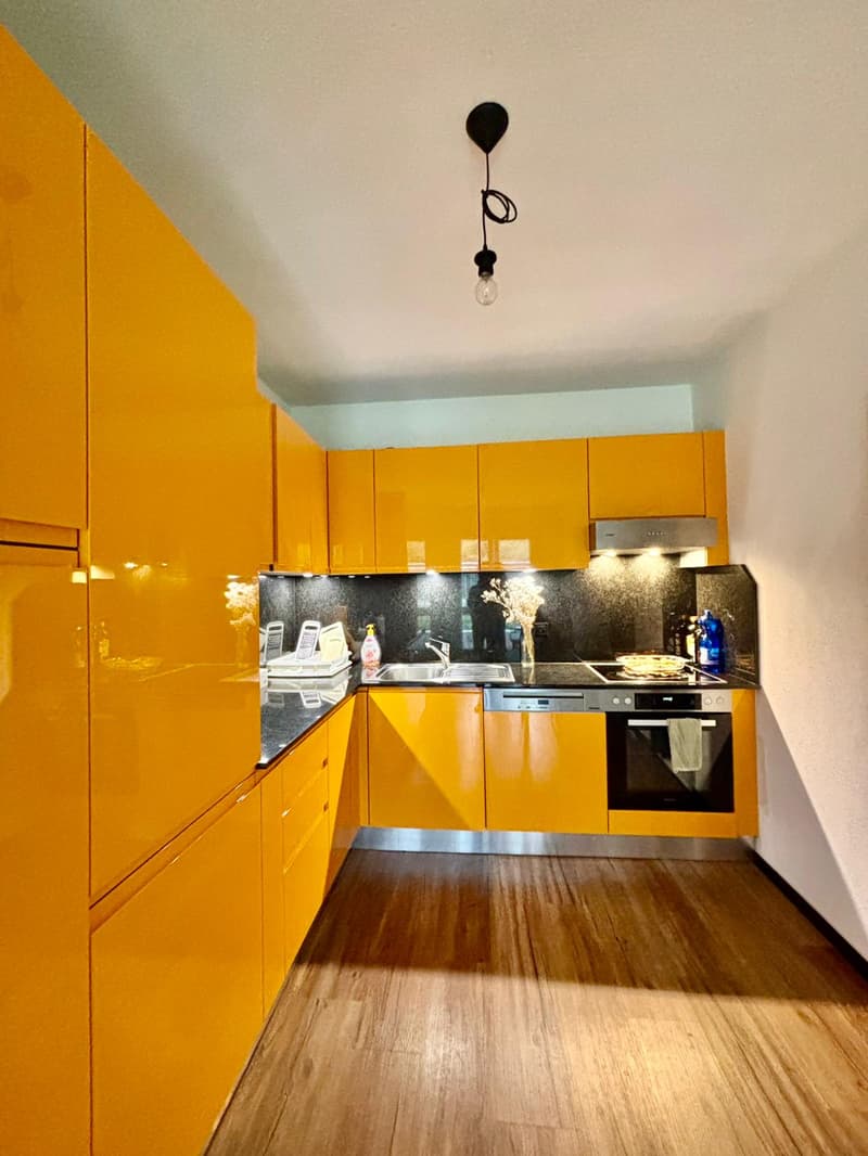 Appartement confortable 3.5 pièces avec vue sur les montagnes à Bodio (4)