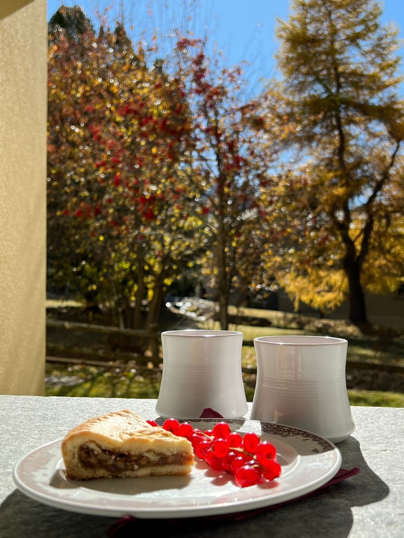 3½ rooms - Furnished dwelling - in Via da Surlej 27 - 75 m²