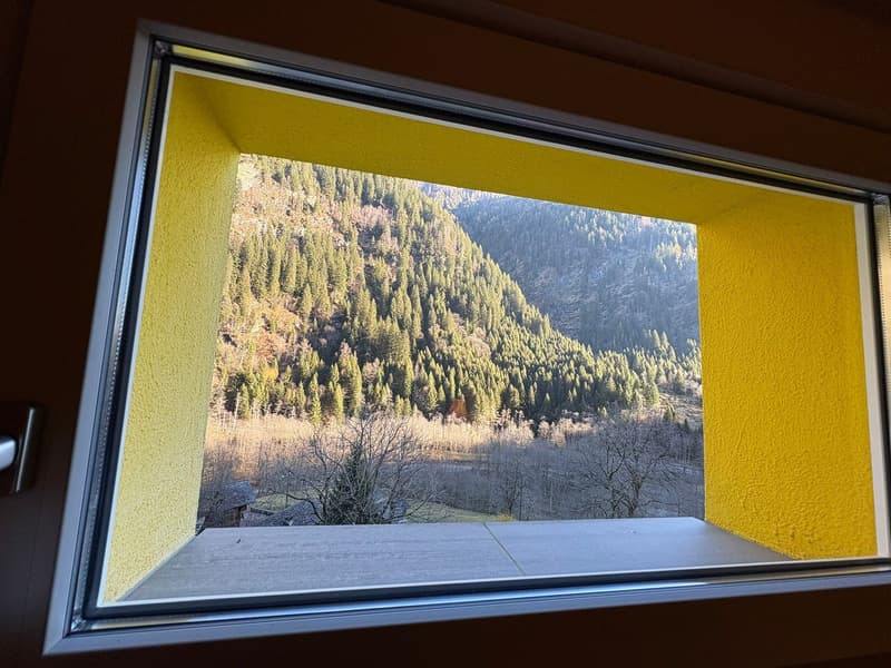 A window view showing a large mountain covered in trees with a clear view of the valley below.