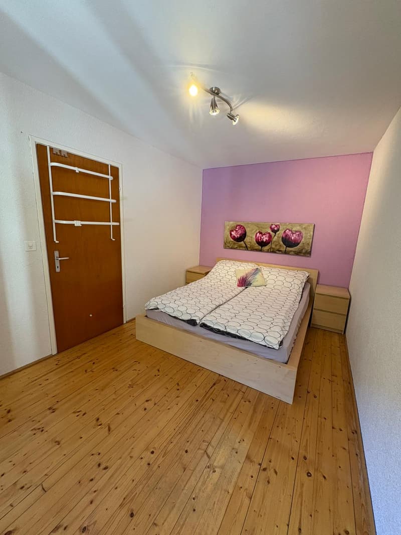 Bedroom with wooden floor, bed, bedside tables, pink wall, door, ceiling light, painting, towel rack