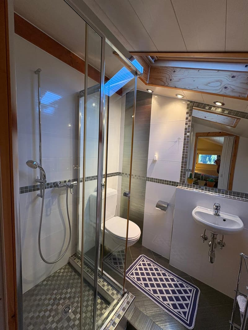 modern shower, white toilet, sink, mirror, blue and white checkered rug, wooden ceiling