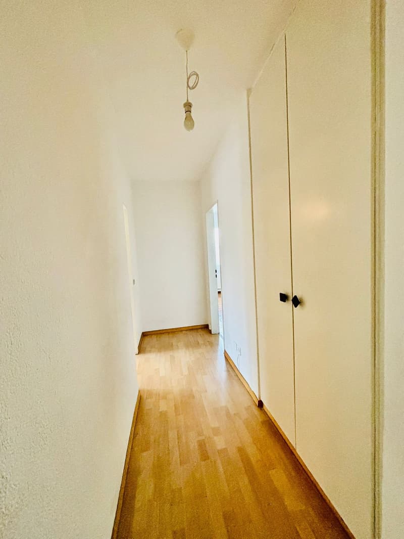 Empty hallway, white walls, wooden floor, doors at the end, light hanging from the ceiling
