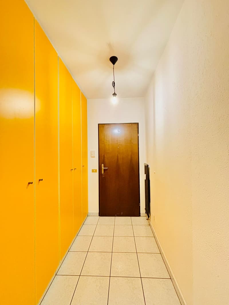 Corridor with yellow cabinets and a brown door