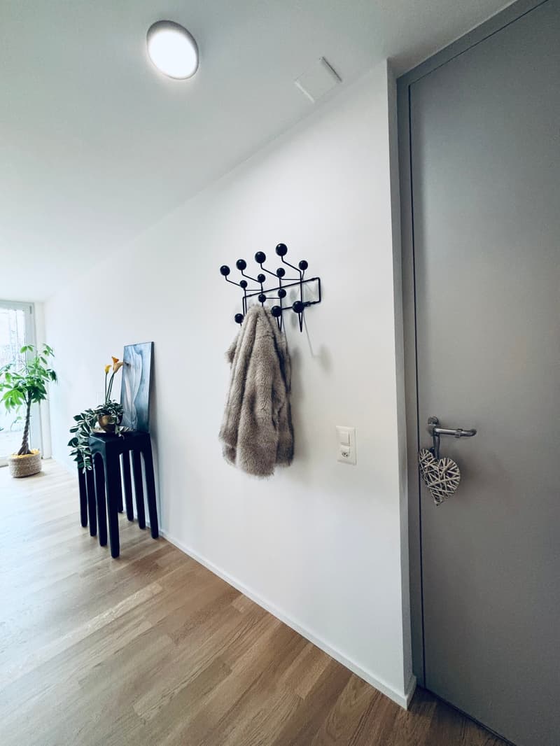 White wall, light wood floor, modern hallway, black coat rack, gray door, plants, switch board