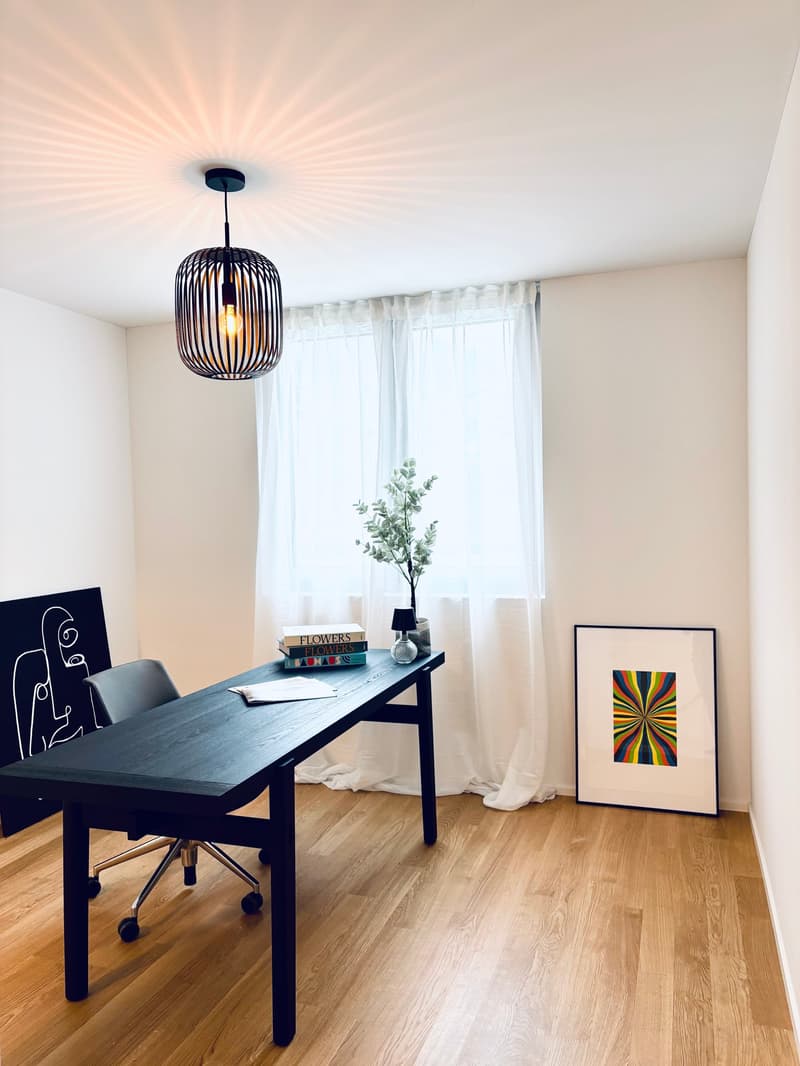 Desk, office chair, books, plant, picture frame, curtains, pendant light
