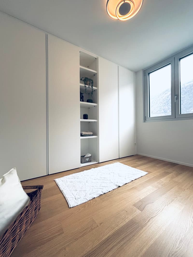 wooden floor, sliding wardrobe, white rug, basket, plant, lamps