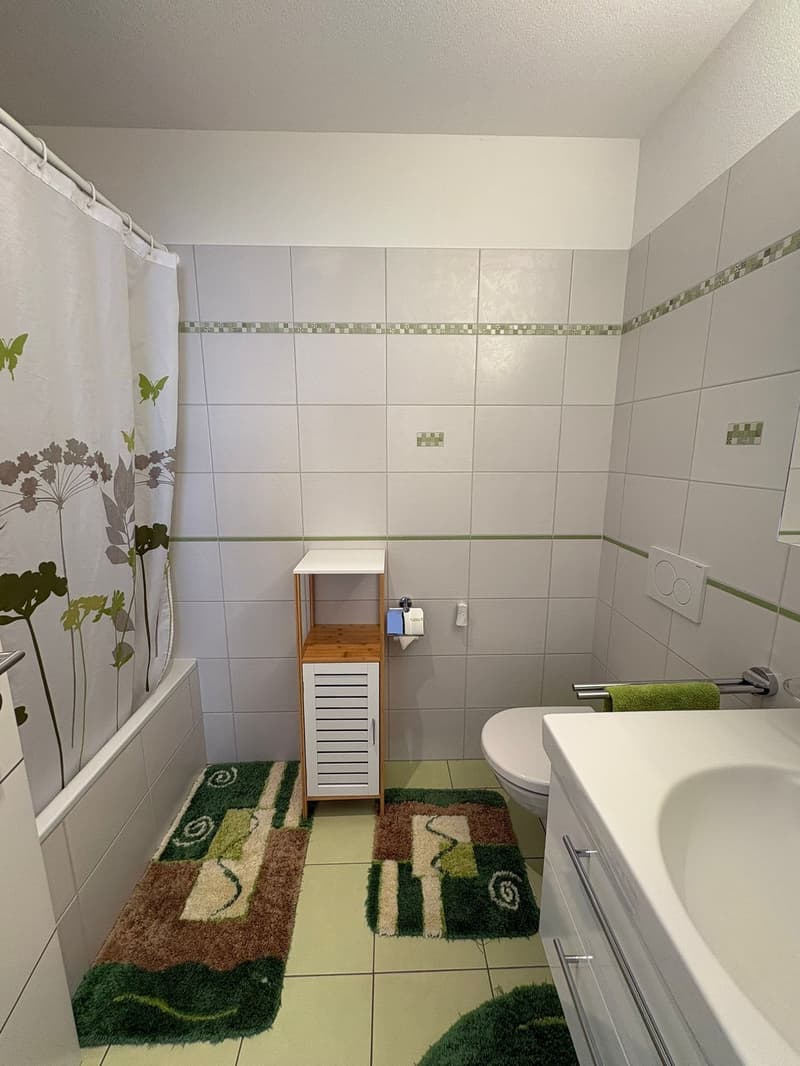 Eleganza e tranquillità: 5.5 locali a Grono con vista sulla campagna! (10)