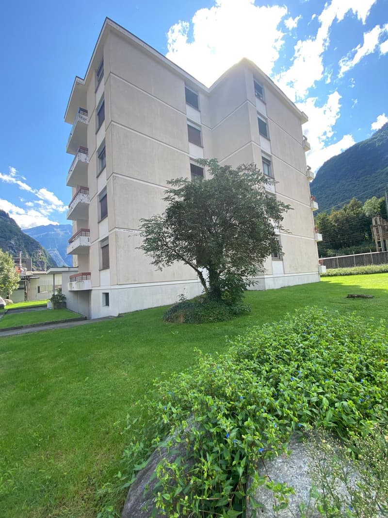 5 story building, balconies, green lawn, tree, mountain view