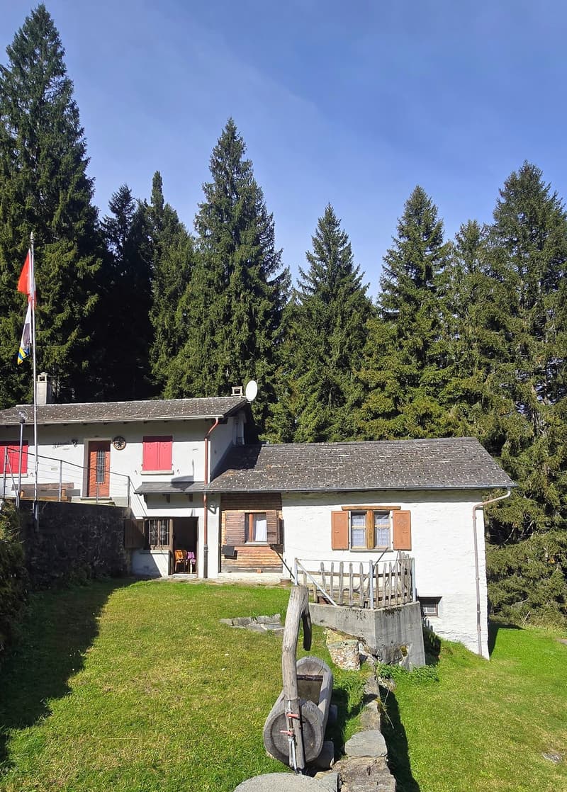 Ferme charmante entourée de verdure à Pian San Giacomo (2)