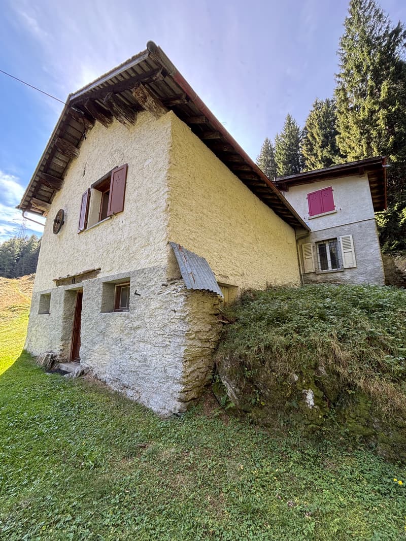 Ferme charmante entourée de verdure à Pian San Giacomo (13)