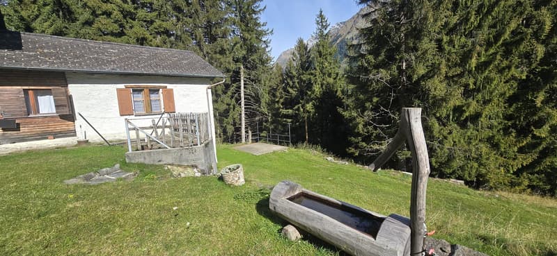 Ferme charmante entourée de verdure à Pian San Giacomo (14)