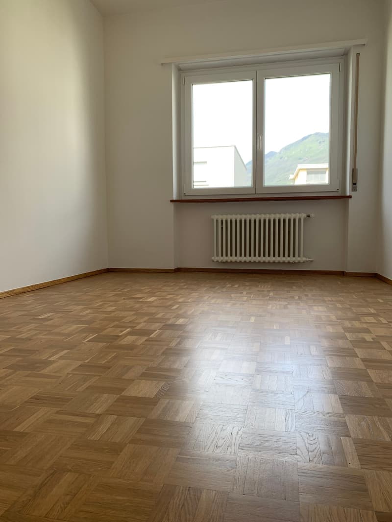Spacious apartment for rent at a good price (15)