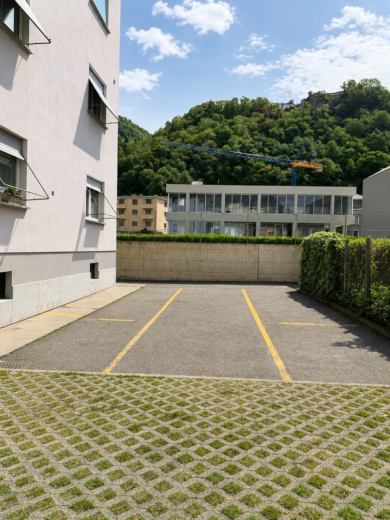Spacious apartment for rent at a good price (21)
