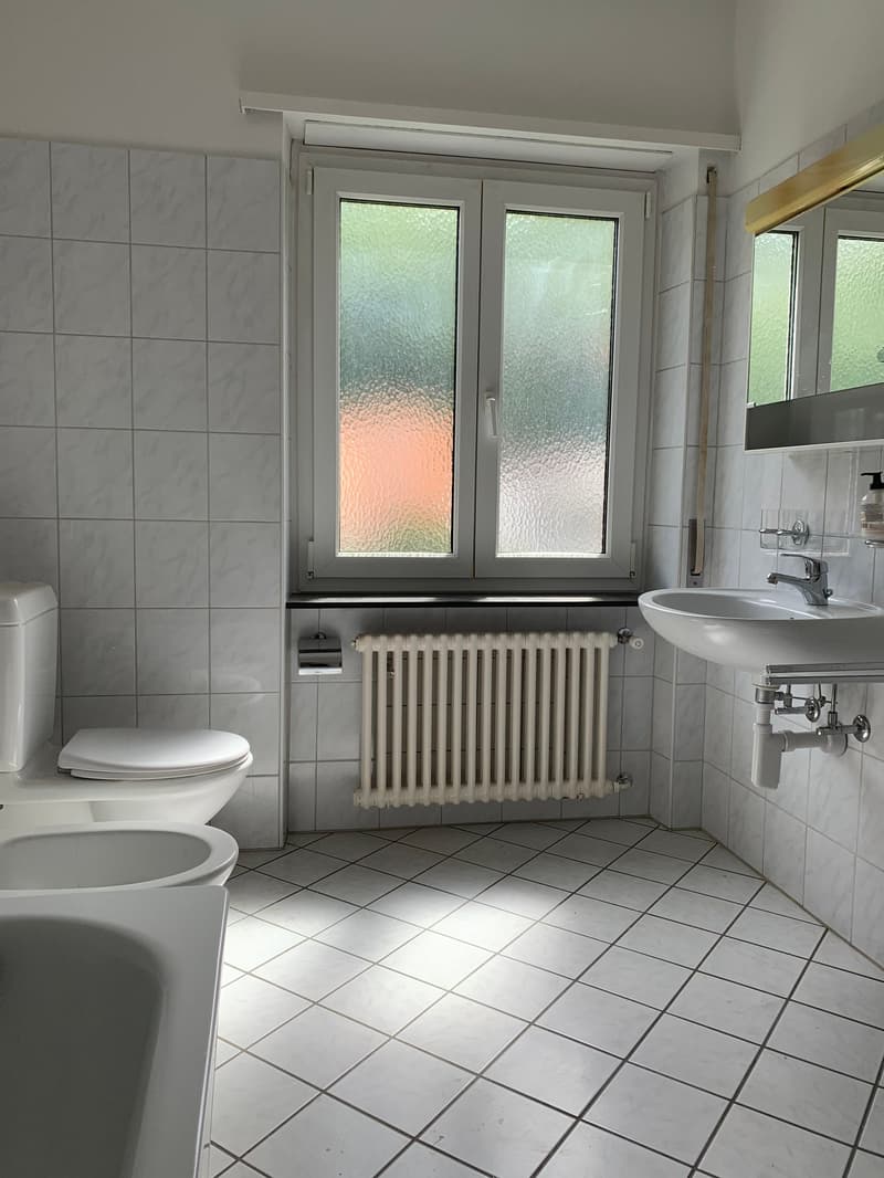 Spacious apartment for rent at a good price (11)