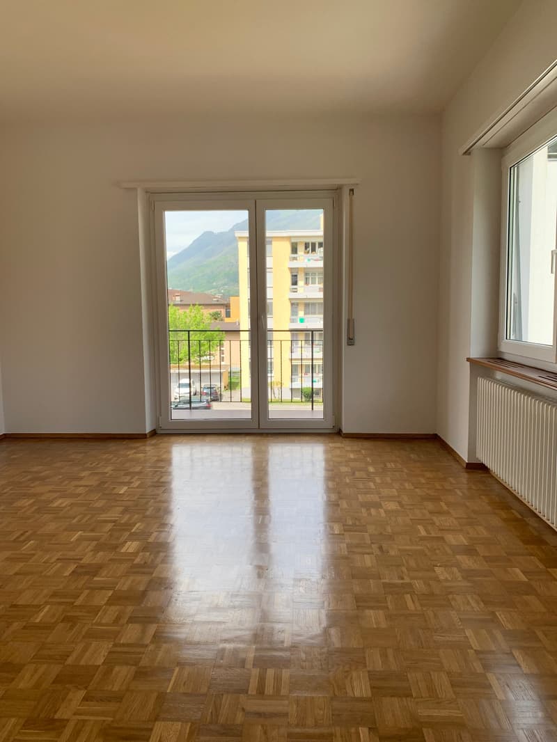 Spacious apartment for rent at a good price (3)