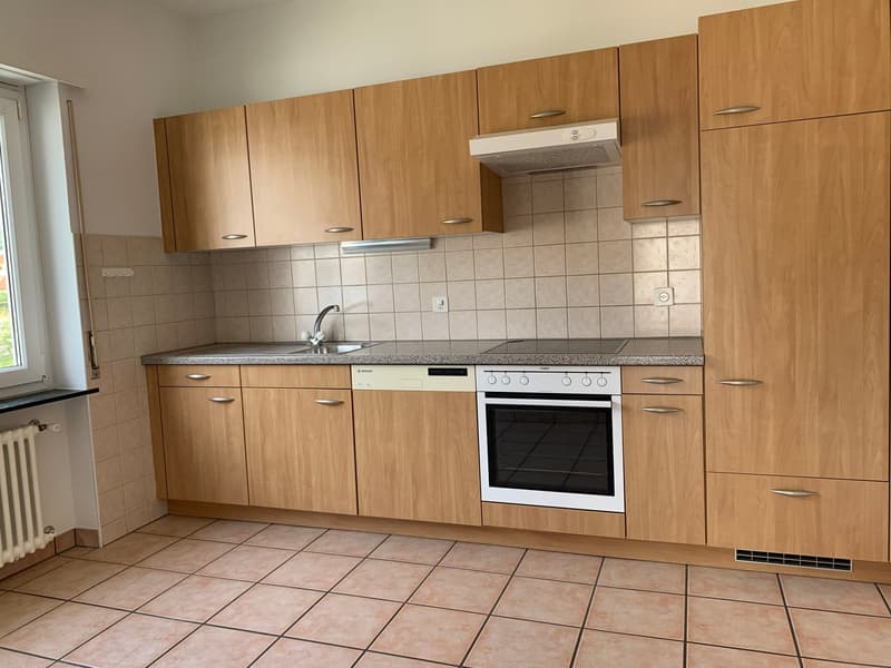 Spacious apartment for rent at a good price (9)