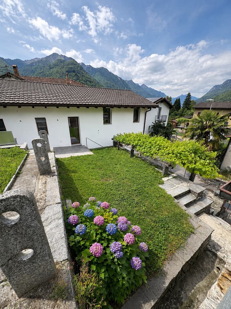 Single-family house in Arbedo (1)