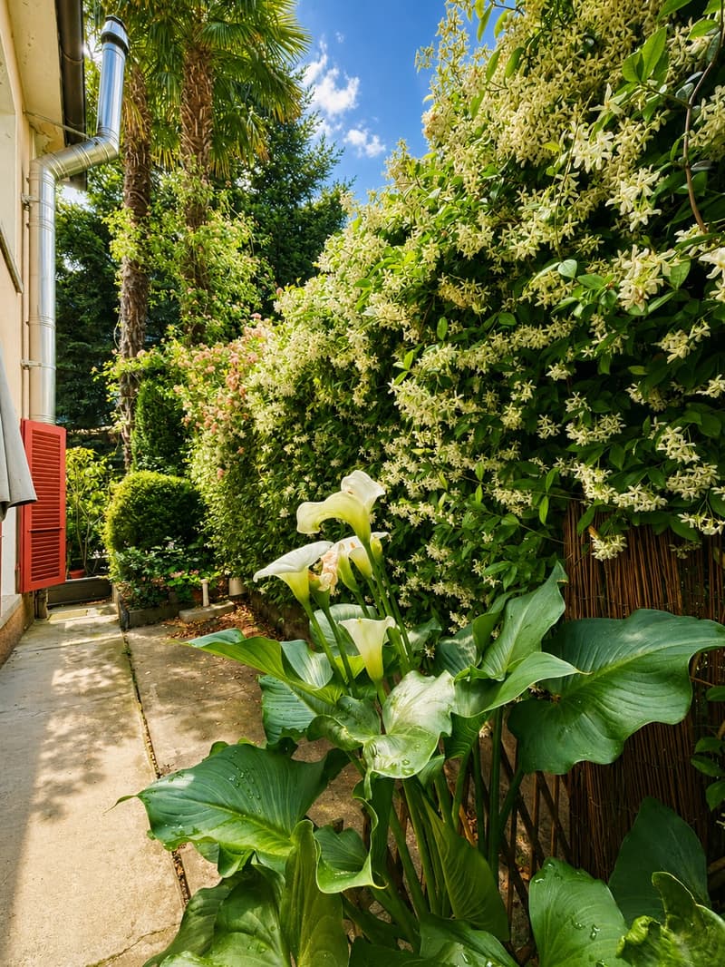 Tradition and warmth in the heart of Cama - Renovated single-family house with 6 rooms (24)