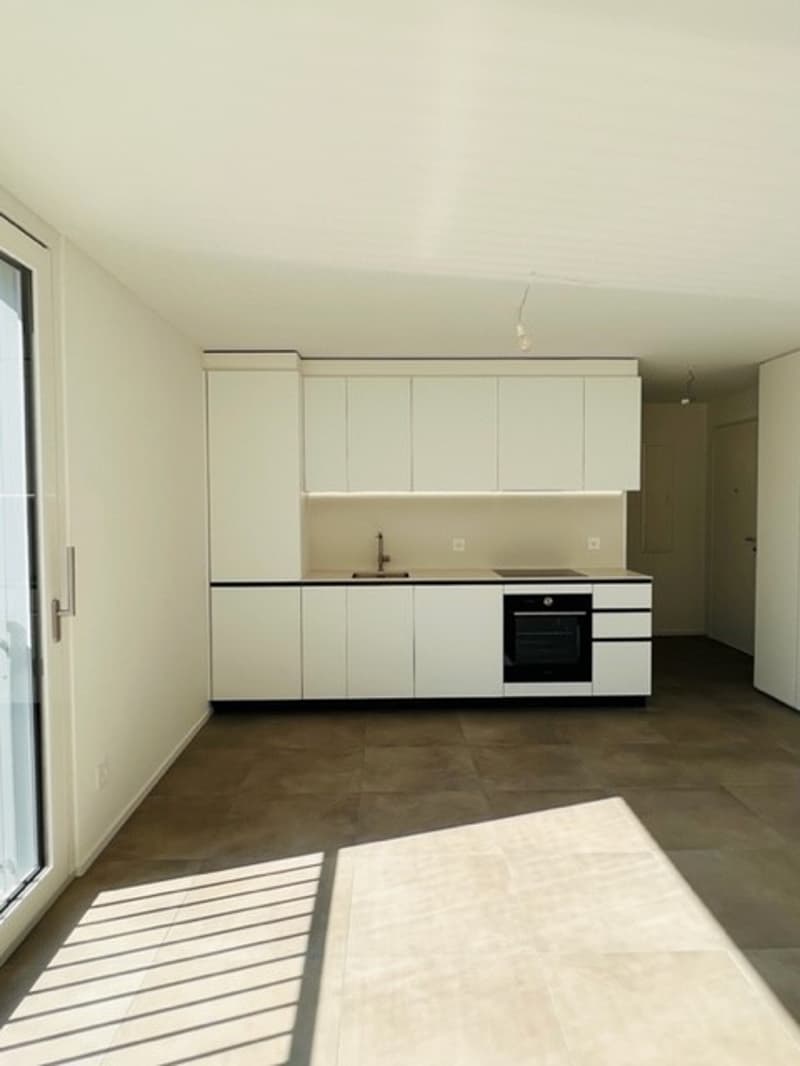Moderno appartamento di 2 locali a Grono (2)
