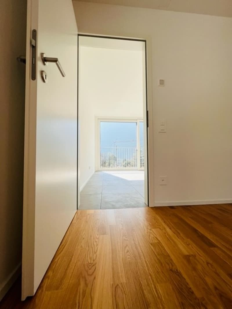 Moderno appartamento di 2 locali a Grono (3)