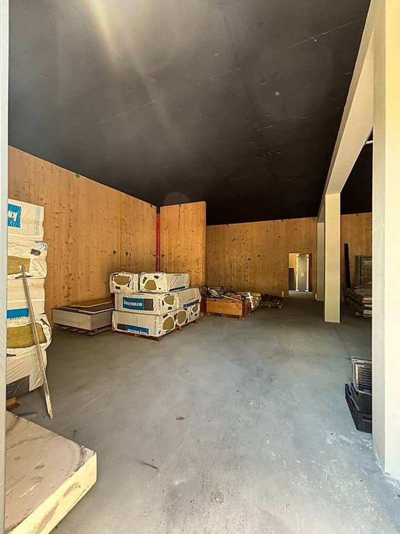 Commercial space for artisanal business or warehouse (3)