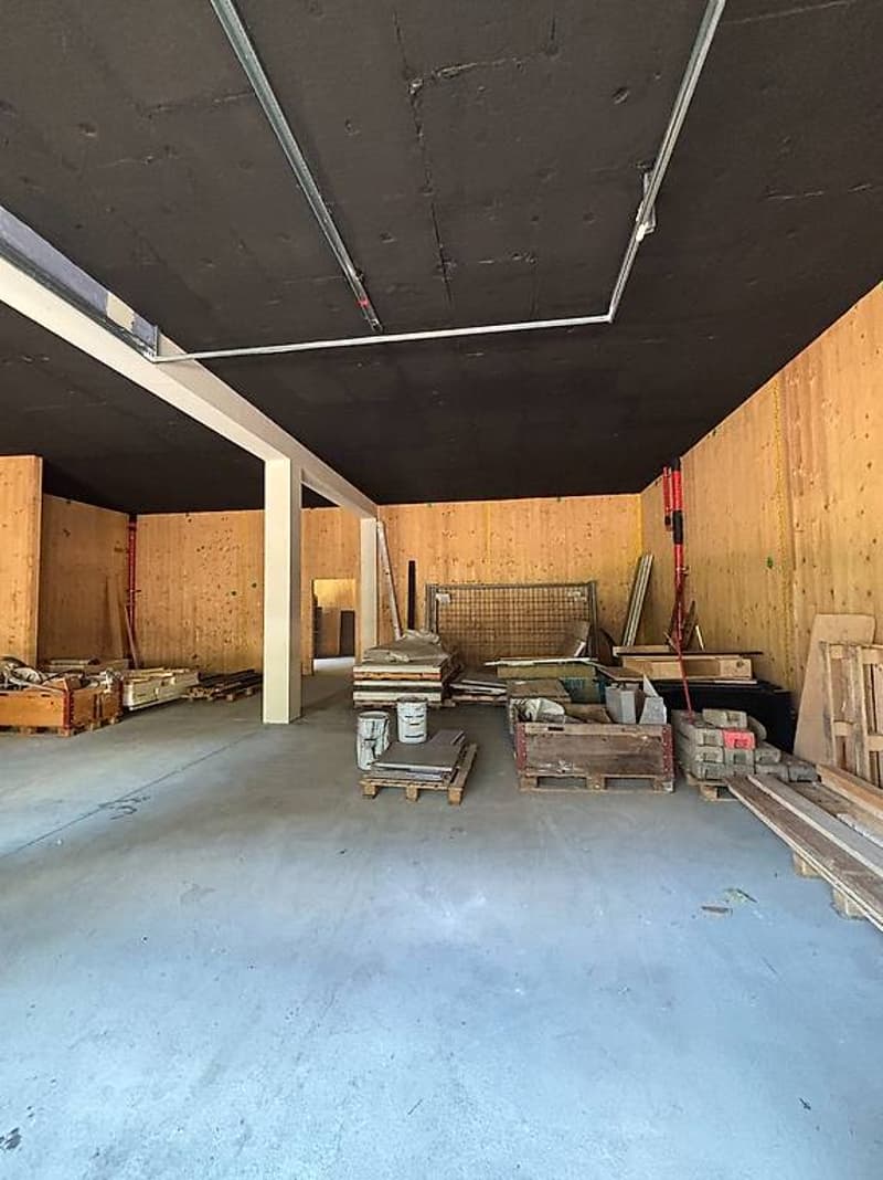 Commercial space for artisanal business or warehouse (4)