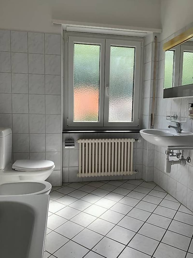 Geräumige Wohnung zu einem guten Preis, nur zwei Schritte vom Zentrum entfernt! (8)