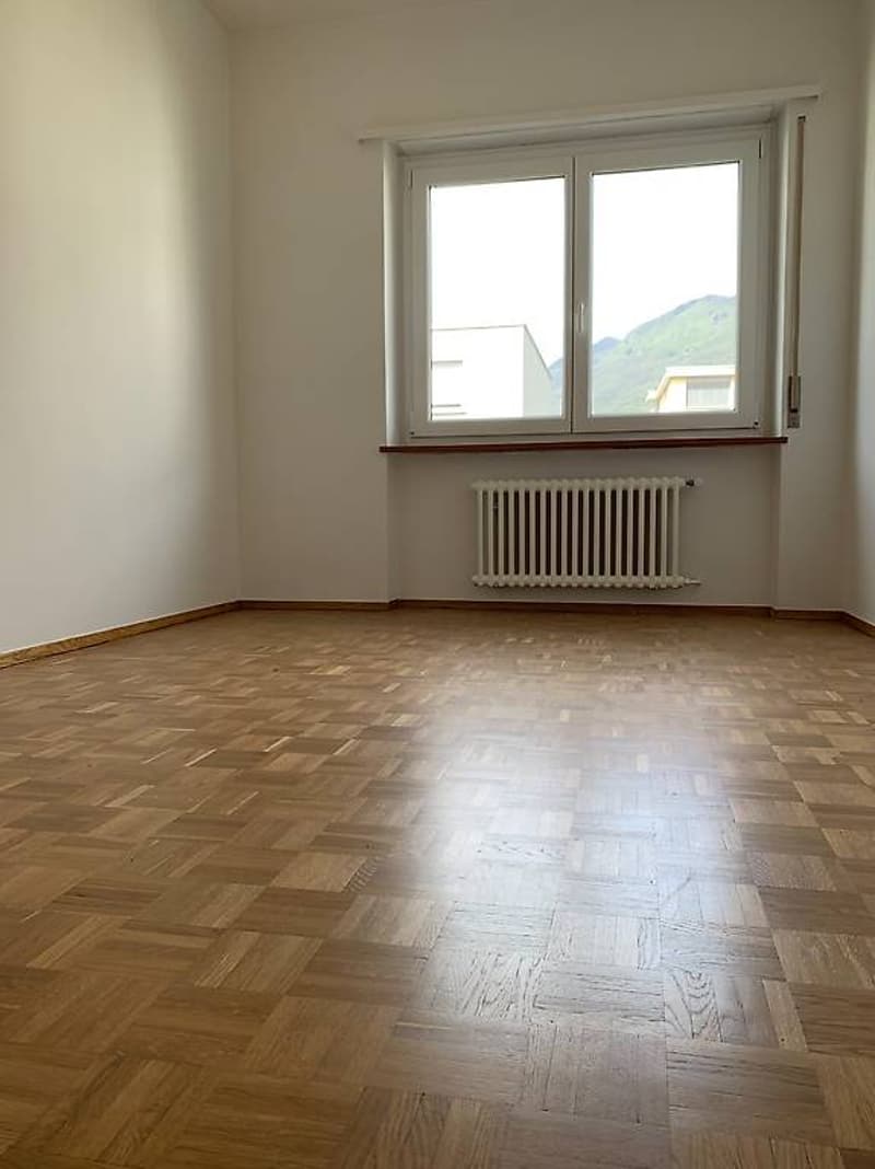 Geräumige Wohnung zu einem guten Preis, nur zwei Schritte vom Zentrum entfernt! (11)