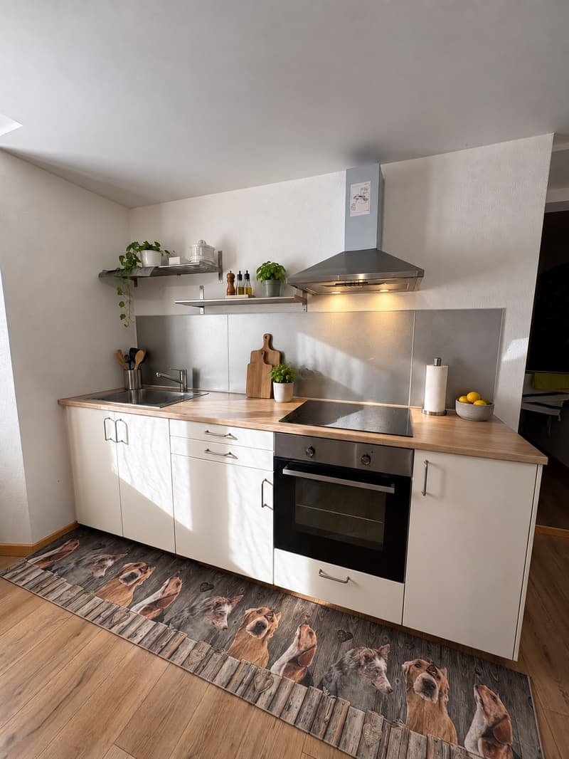 Casa Bifamiliare di 5.5 + 2 Locali a San Vittore – Charme Storico e Comfort Moderno (29)