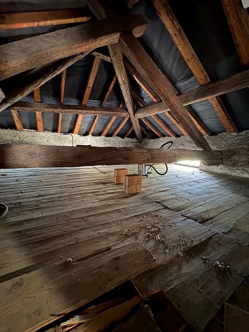 HAUS MIT HAUPTWOHNUNG UND SEPARATER WOHNEINHEIT IN SAN VITTORE GR (20)