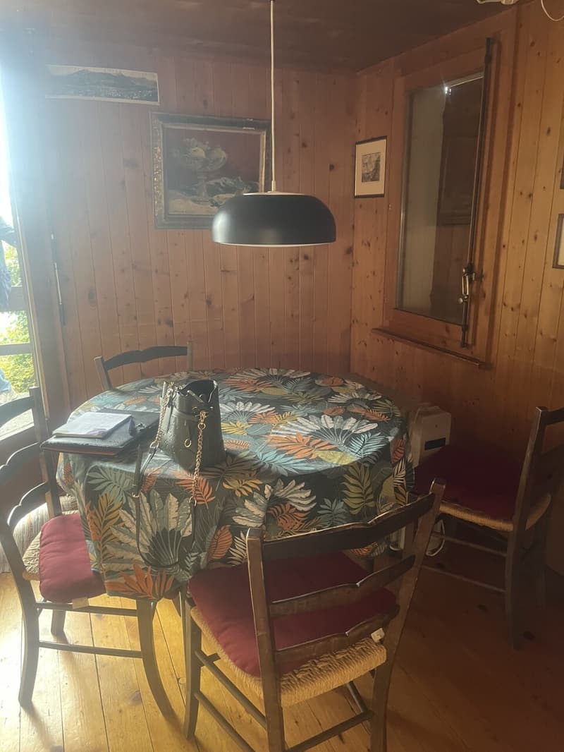 Chalet mit 3.5 Zimmern für sommerliche und winterliche Vermietung (5)