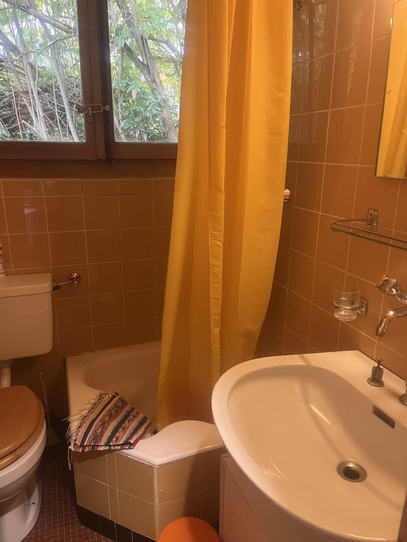 Chalet mit 3.5 Zimmern für sommerliche und winterliche Vermietung (6)