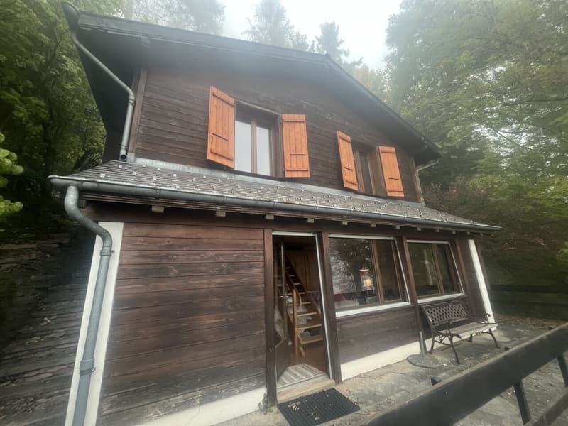 Chalet mit 3.5 Zimmern für sommerliche und winterliche Vermietung (1)