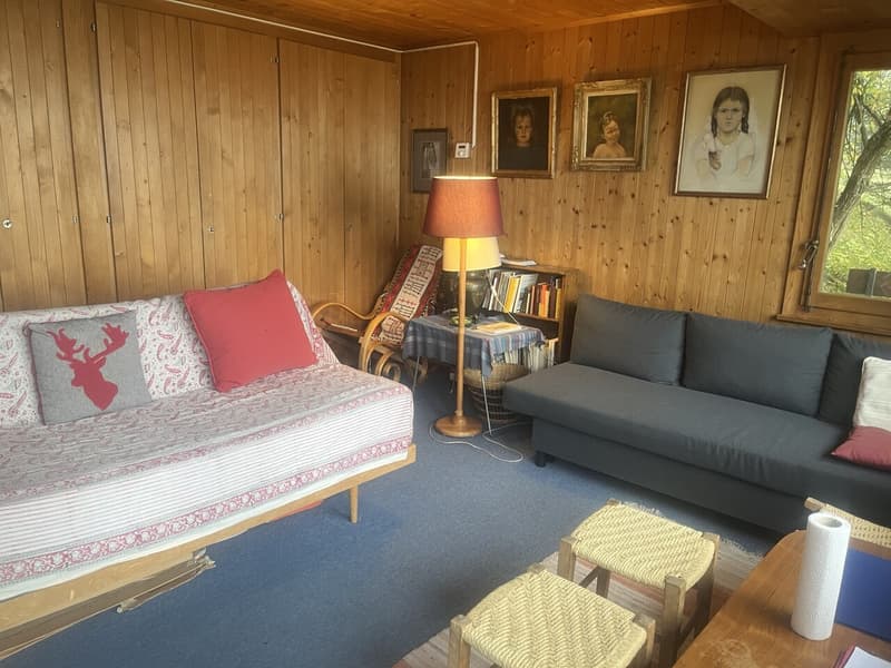 Chalet mit 3.5 Zimmern für sommerliche und winterliche Vermietung (7)