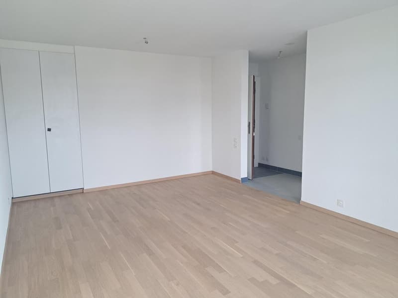 APARTMENT RENOVATED WITH BALCONY AND ELEVATOR (5)