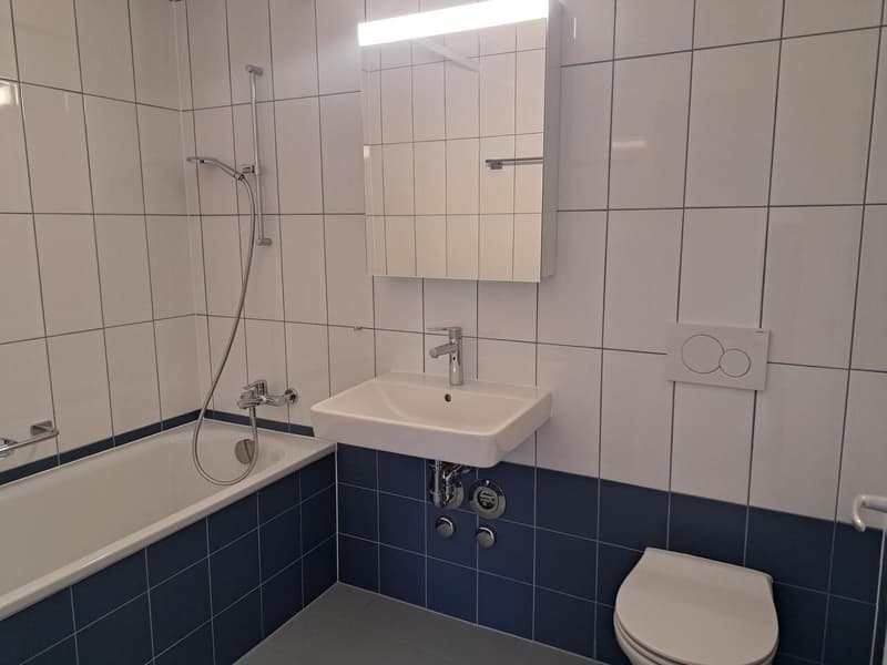 APARTMENT RENOVATED WITH BALCONY AND ELEVATOR (8)