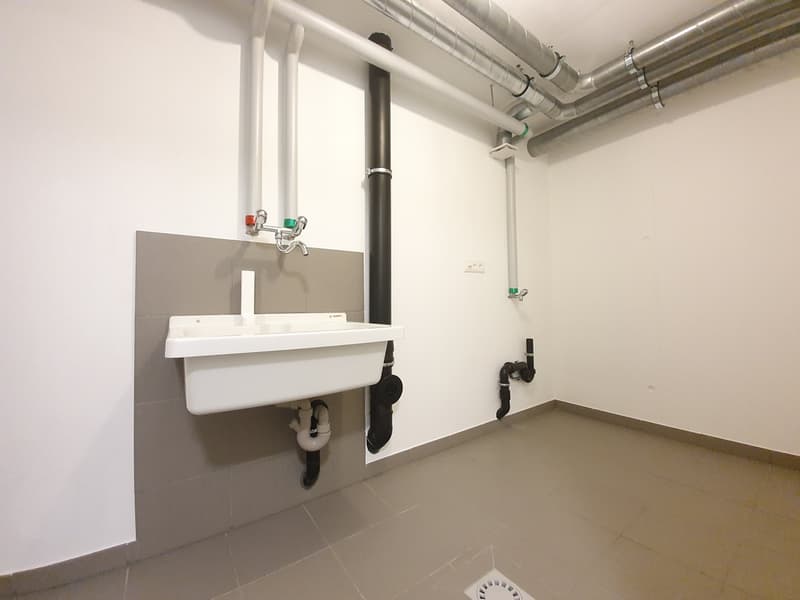 20200706_114049.jpg