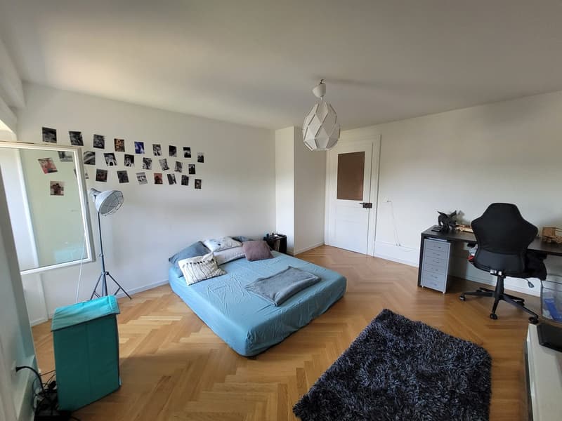 Ampio appartamento di 5.5 locali a Wavre (7)