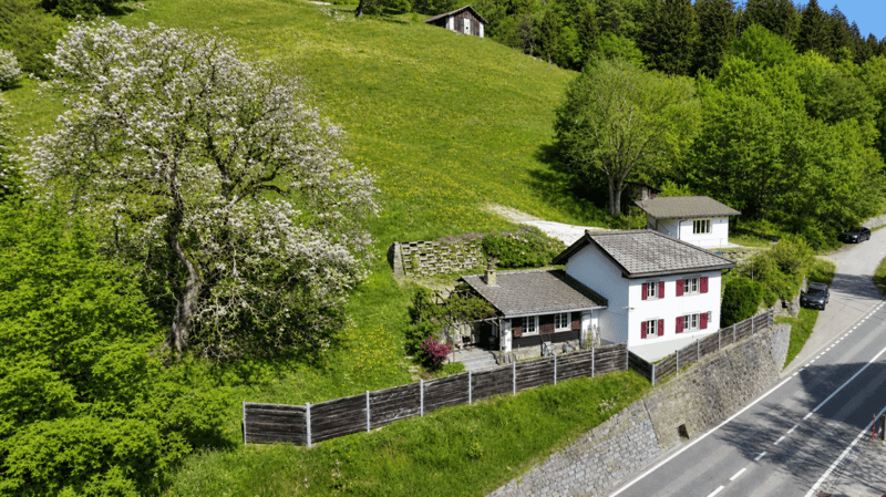Bischu zum Entspannen und Geniessen (1)
