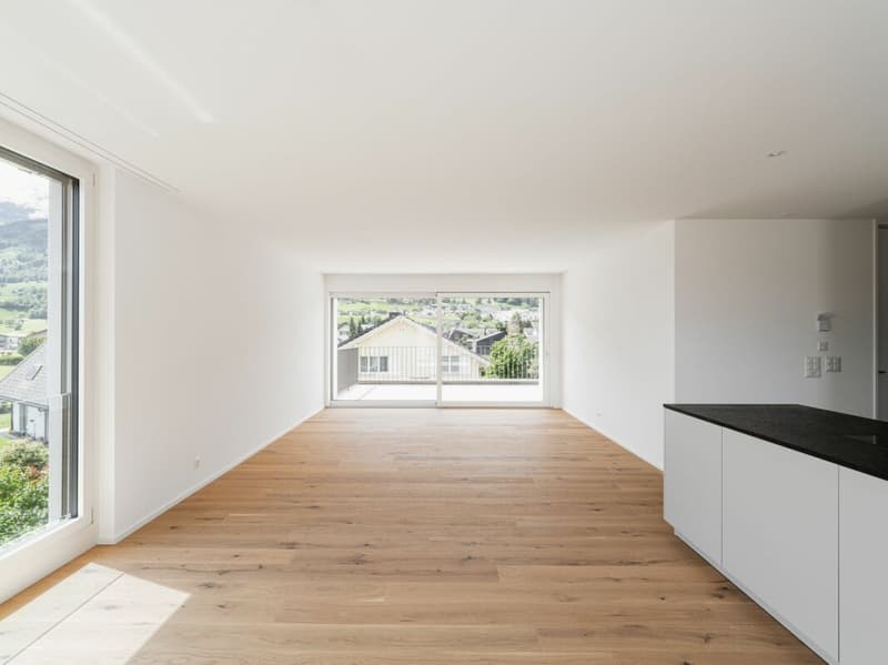 Exclusive attic apartment - first occupancy (2)