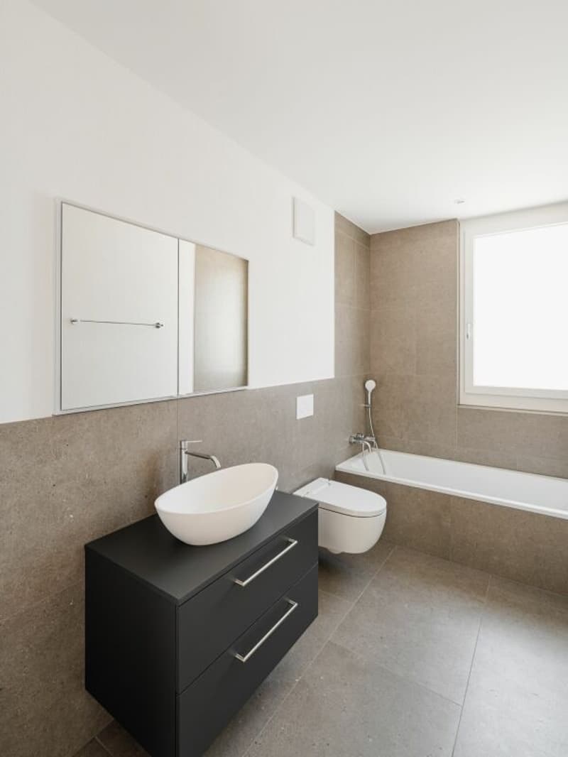 Exclusive attic apartment - first occupancy (4)