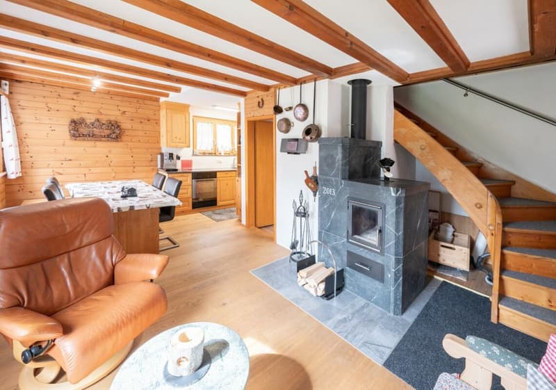 Idyllisches Ferienhaus im Grünen (6)