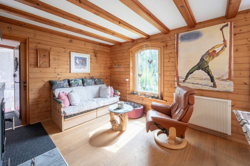 Idyllisches Ferienhaus im Grünen (4)