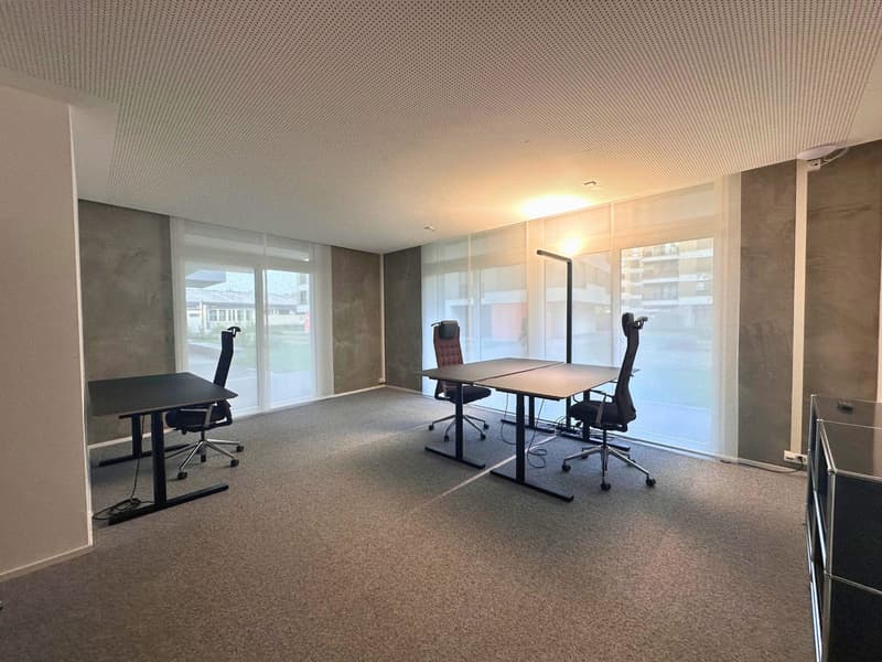 Privates 2–3 Personen-Büro ab CHF 717.– pro Person (4)
