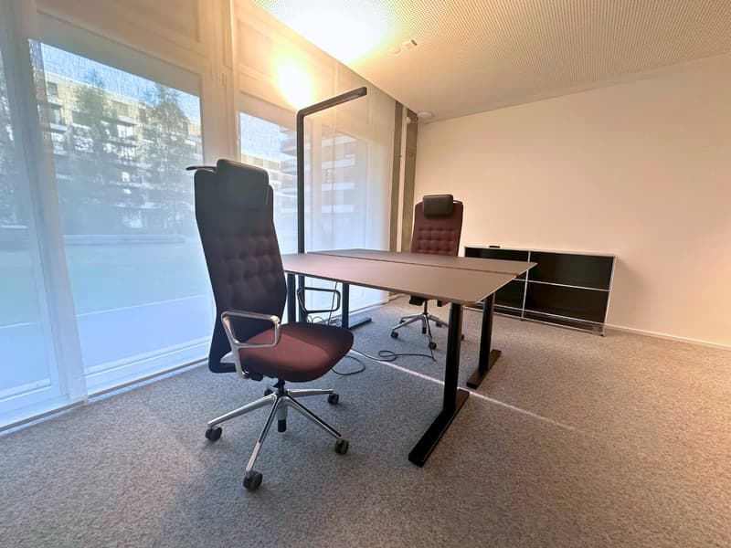 Privates 2–3 Personen-Büro ab CHF 717.– pro Person (7)