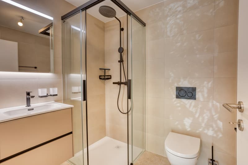 Magnifique appartement 4.5 pièces neuf (8)