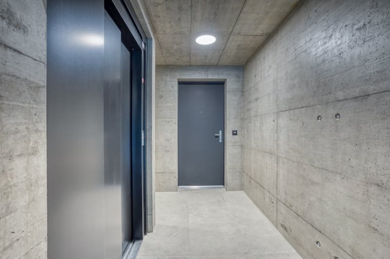 Magnifique appartement 4.5 pièces neuf (2)